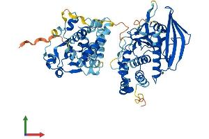 Protein Structure (PS) image for Protein tyrosine Phosphatase, Non-Receptor Type 9 (PTPN9) (AA 1-593) protein (His tag) (ABIN7551073)
