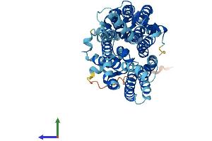 Protein Structure (PS) image for Solute Carrier Family 2 (Facilitated Glucose Transporter), Member 3 (SLC2A3) (AA 1-493) protein (His tag) (ABIN7563125)