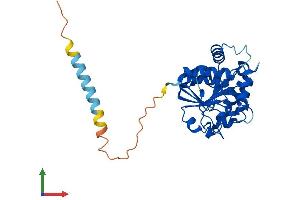 AlphaFold protein structure predicition of Mouse Recombinant St6galnac3 Protein, UniprotID Q9WUV2 (alpha-N-Acetylgalactosaminide alpha-2,6-Sialyltransferase 3 (SIA7C) (AA 1-305) protein (His tag))