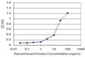 Detection limit for recombinant GST tagged KHSRP is approximately 1ng/ml as a capture antibody. (KHSRP antibody  (AA 151-239))