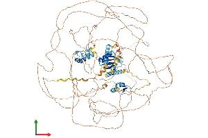 Protein Structure (PS) image for RNA Binding Motif Protein 20 (RBM20) (AA 1-1227) protein (His tag) (ABIN7555124)