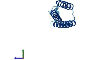 AlphaFold protein structure predicition of Mouse Recombinant Lyrm2 Protein, UniprotID Q8R033