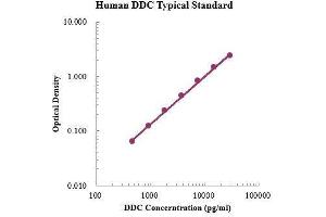 ELISA image for Dopa Decarboxylase (Aromatic L-Amino Acid Decarboxylase) (DDC) ELISA Kit (ABIN3199212)