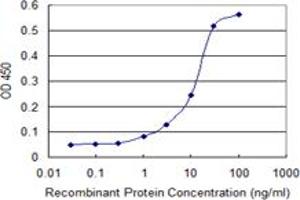 Detection limit for recombinant GST tagged COL14A1 is 0. (COL14A1 antibody  (AA 34-120))