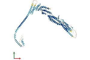 AlphaFold protein structure predicition of Mouse Recombinant Cog2 Protein, UniprotID Q921L5 (COG2 Protein (AA 1-731) (His tag))