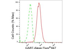Flow cytometric analysis of GART expression in HT- cells using GART antibody (ABIN7799834), 1:2,000). (Recombinant GART antibody)