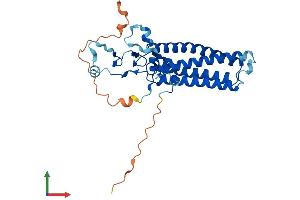 AlphaFold protein structure predicition of Human Recombinant ZDHHC7 Protein, UniprotID Q9NXF8