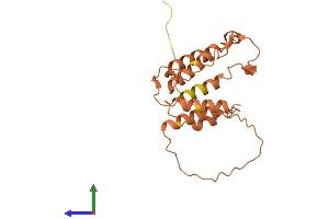 AlphaFold protein structure predicition of Human Recombinant DCAF16 Protein, UniprotID Q9NXF7