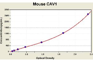 Diagramm of the ELISA kit to detect Mouse CAV1with the optical density on the x-axis and the concentration on the y-axis. (Caveolin-1 ELISA Kit)