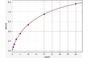 MYL3/CMLC1 ELISA Kit