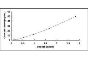 ELISA image for High Density Lipoprotein (HDL) ELISA Kit (ABIN424285) (HDL ELISA Kit)