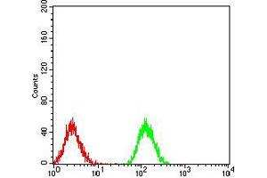 Flow cytometric analysis of Jurkat cells using PLCG1 mouse mAb (green) and negative control (red). (Phospholipase C gamma 1 antibody  (AA 1192-1291))