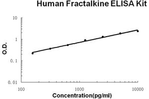 Human Fractalkine/CX3CL1 Accusignal ELISA Kit Human Fractalkine/CX3CL1 AccuSignal ELISA Kit standard curve. (CX3CL1 ELISA Kit)