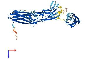 AlphaFold protein structure predicition of Mouse Recombinant Trappc13 Protein, UniprotID Q3TIR1 (TRAPPC13 Protein (AA 1-417) (His tag))