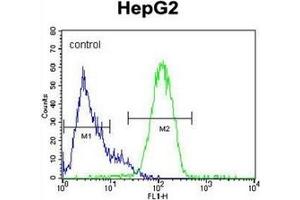 Image no. 1 for anti-Nanog Homeobox (NANOG) (AA 25-54), (N-Term) antibody (ABIN357014) (Nanog antibody  (N-Term))