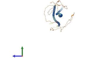 AlphaFold protein structure predicition of Human Recombinant KRT84 Protein, UniprotID Q9NSB2 (Keratin 84 Protein (KRT84) (AA 1-600) (His tag))