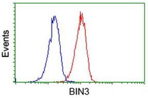 Flow cytometric Analysis of Jurkat cells, using anti-BIN3 antibody (ABIN2453900), (Red), compared to a nonspecific negative control antibody, (Blue). (BIN3 antibody)
