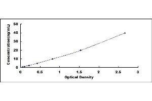 CD73 ELISA Kit