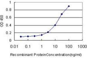 Detection limit for recombinant GST tagged HSPC111 is approximately 1ng/ml as a capture antibody. (NOP16 antibody  (AA 1-178))