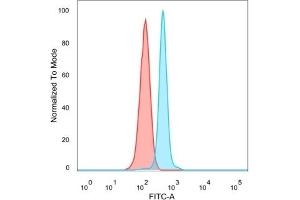 Flow cytometric analysis of PFA-fixed HeLa cells. (HDAC6 antibody)