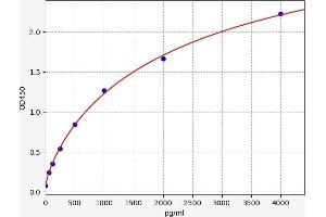 Typical standard curve