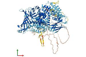 Protein Structure (PS) image for TAF2 RNA Polymerase II, TATA Box Binding Protein (TBP)-Associated Factor, 150kDa (TAF2) (AA 1-1104) protein (His tag) (ABIN7564496)