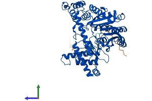 AlphaFold protein structure predicition of Mouse Recombinant Gpt2 Protein, UniprotID Q8BGT5 (GPT2 Protein (AA 1-522) (His tag))