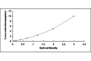 Typical standard curve (HSD11B1L ELISA Kit)