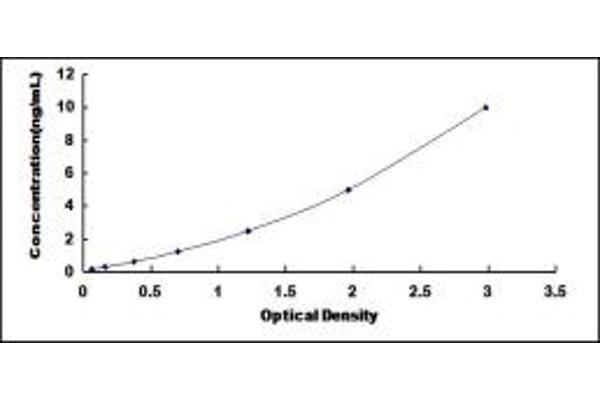 HSD11B1L ELISA Kit