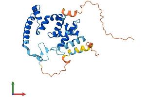 Protein Structure (PS) image for TBC1 Domain Family, Member 26 (TBC1D26) (AA 1-250) protein (His tag) (ABIN7544325)