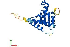 AlphaFold protein structure predicition of Mouse Recombinant Gadd45g Protein, UniprotID Q9Z111