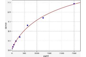 FBXO32 ELISA Kit