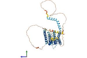 AlphaFold protein structure predicition of Human Recombinant RNFT2 Protein, UniprotID Q96EX2 (RNFT2 Protein (AA 1-444) (His tag))