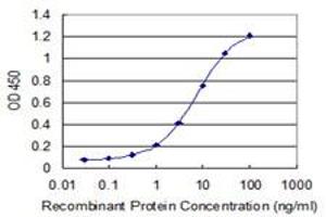 Detection limit for recombinant GST tagged UBA6 is 0. (UBA6 antibody  (AA 1-389))