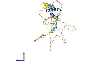 Protein Structure (PS) image for Paired-Like Homeodomain 2 (PITX2) (AA 1-317) protein (His tag) (ABIN7550800)