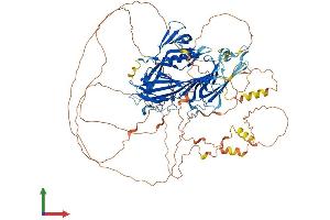AlphaFold protein structure predicition of Human Recombinant STON2 Protein, UniprotID Q8WXE9 (Stonin 2 (STON2) (AA 1-905) protein (His tag))