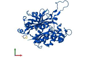 Protein Structure (PS) image for Acetyl-CoA Acetyltransferase 2 (ACAT2) (AA 1-397) protein (His tag) (ABIN7559220)
