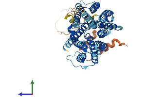 AlphaFold protein structure predicition of Mouse Recombinant Slc29a3 Protein, UniprotID Q99P65