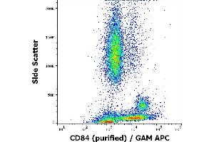 Flow cytometry surface staining pattern of human peripheral whole blood stained using anti-human CD84 (84. (CD84 antibody)