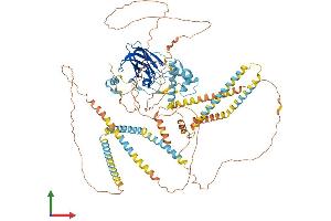 AlphaFold protein structure predicition of Mouse Recombinant Sun1 Protein, UniprotID Q9D666