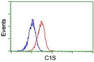 Image no. 2 for anti-Complement Component 1, S Subcomponent (C1S) antibody (ABIN1497568) (C1S antibody)