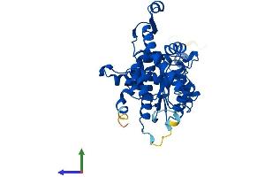 Protein Structure (PS) image for Deoxyhypusine Synthase (DHPS) (AA 1-369) protein (His tag) (ABIN7557100)