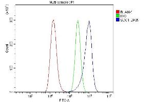 Flow Cytometry analysis of A549 cells using anti-Syndecan-1 antibody (ABIN3043430).