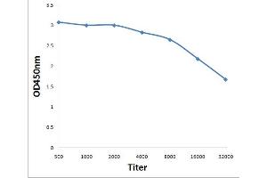 Antigen: 0. (ATP1A1 antibody  (pTyr10))