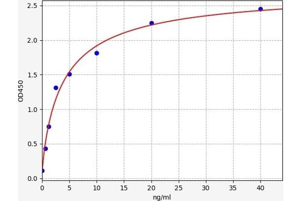 EGFR2 ELISA Kit