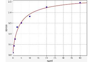 Typical standard curve (EGFR2 ELISA Kit)