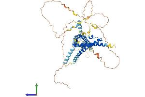 AlphaFold protein structure predicition of Human Recombinant MARVELD2 Protein, UniprotID Q8N4S9 (Tricellulin Protein (MARVELD2) (AA 1-558) (His tag))