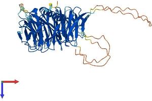 Protein Structure (PS) image for WD Repeat Domain 41 (WDR41) (AA 1-459) protein (His tag) (ABIN7545187)