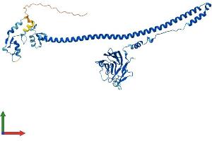Protein Structure (PS) image for Tripartite Motif Containing 69 (TRIM69) (AA 1-500) protein (His tag) (ABIN7558405)