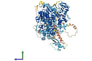 AlphaFold protein structure predicition of Mouse Recombinant Polg Protein, UniprotID P54099 (POLG Protein (AA 1-1218) (His tag))